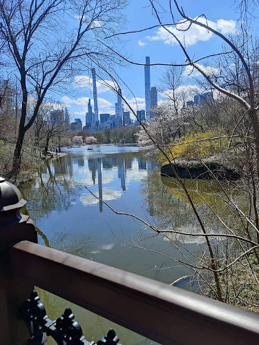 NYC Central Park