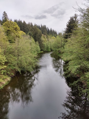 Sammamish River Trail