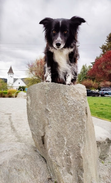 Bainbridge Island Smudge