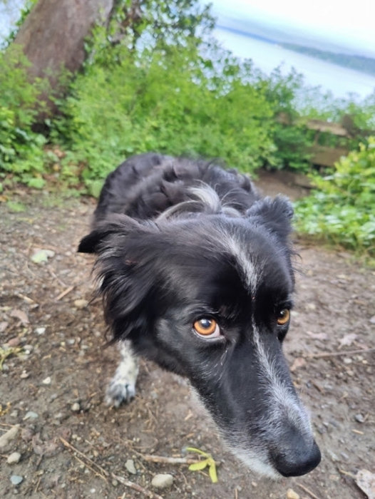 Normandy Marine View Park Smudge