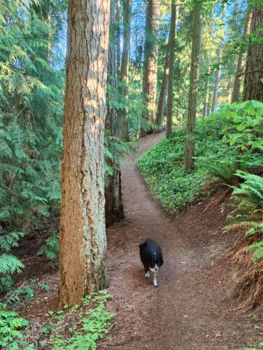 Shoreline Hamlin Park Smudge 01