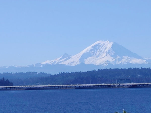 Mount Rainier 520