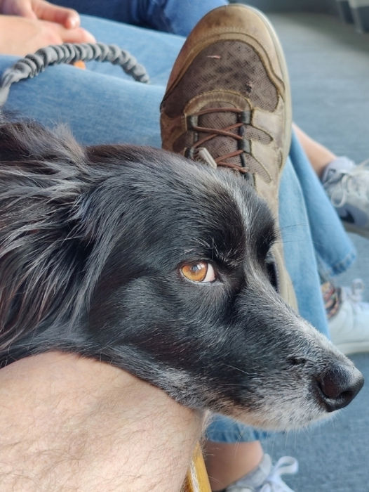 Kingston Parade Smudge 02