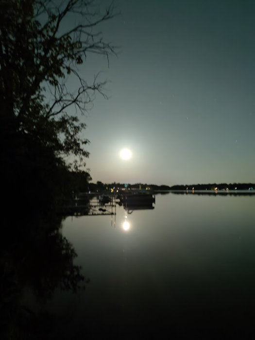 Moon over Silver Lake