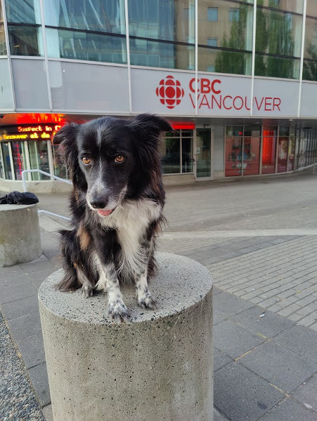 Vancouver Smudge 01