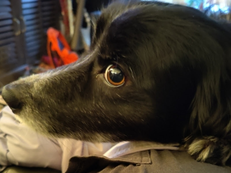 Smudge 01