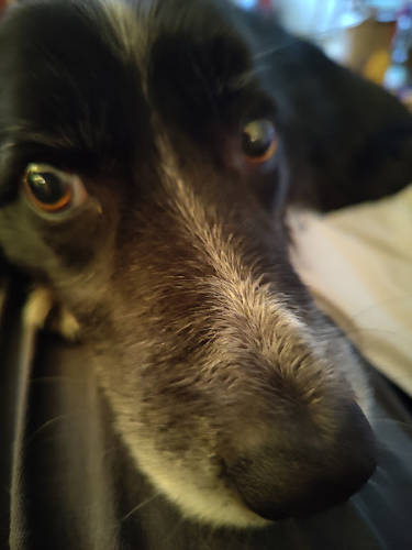 Smudge 02