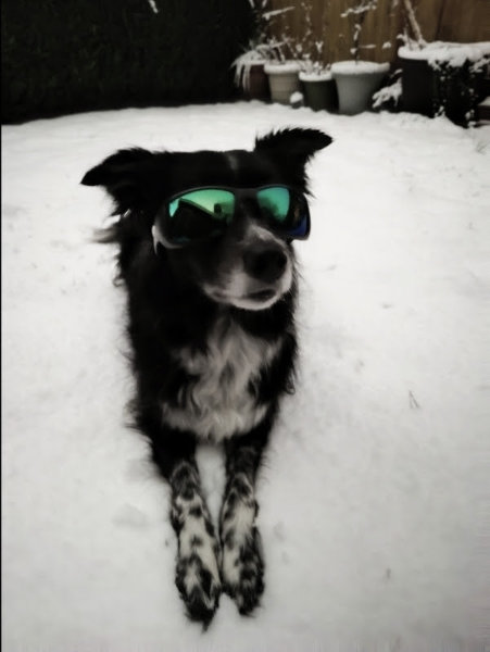 Snow Smudge 01
