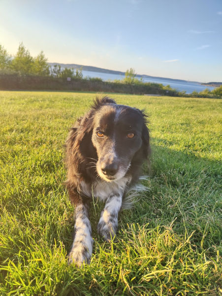 Steilacoom Smudge 02