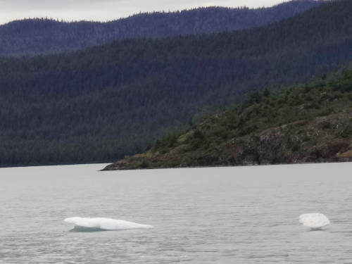 Juneau Mendenhall Ice