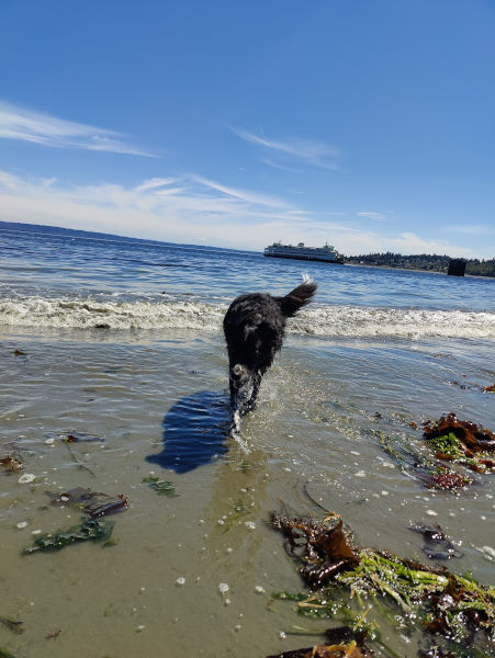 Kingston Smudge 04-Aug