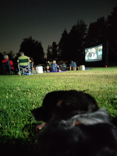 Maple Leaf Movie Night 26-Aug