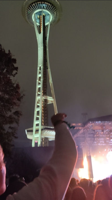 Bumbershoot Fatboy Slim Dane 04