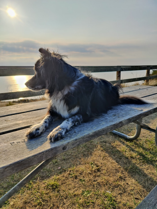 Fort Ebey Smudge 01
