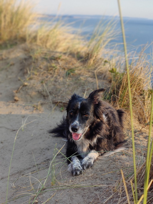 Fort Ebey Smudge 03