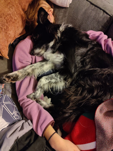 Maddy Smudge Sleeping Dec 09