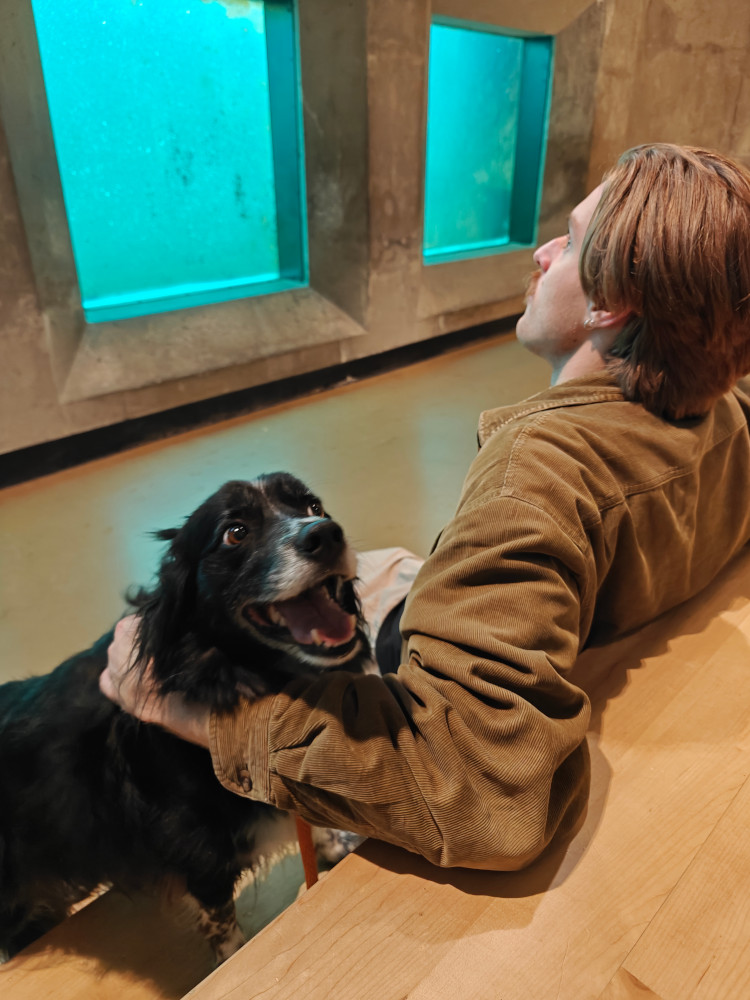 Ballard Locks Dane Smudge 01