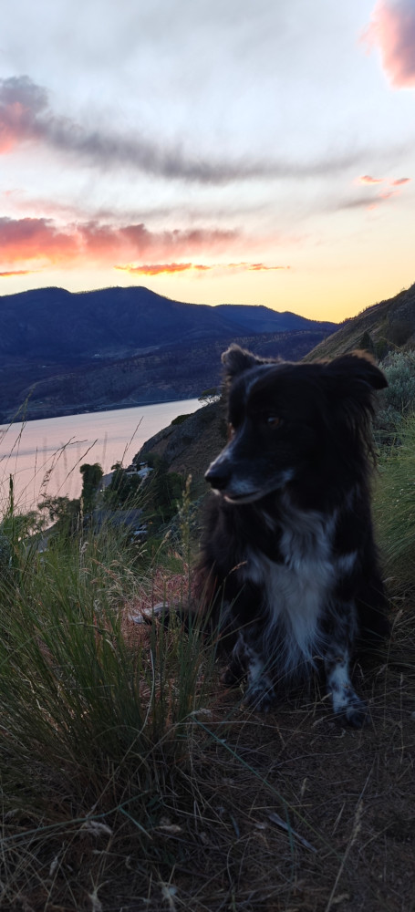 Kelowna Knox Mtn Smudge 02