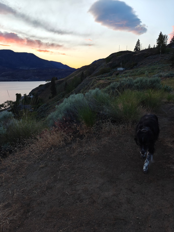 Kelowna Knox Mtn Smudge 03