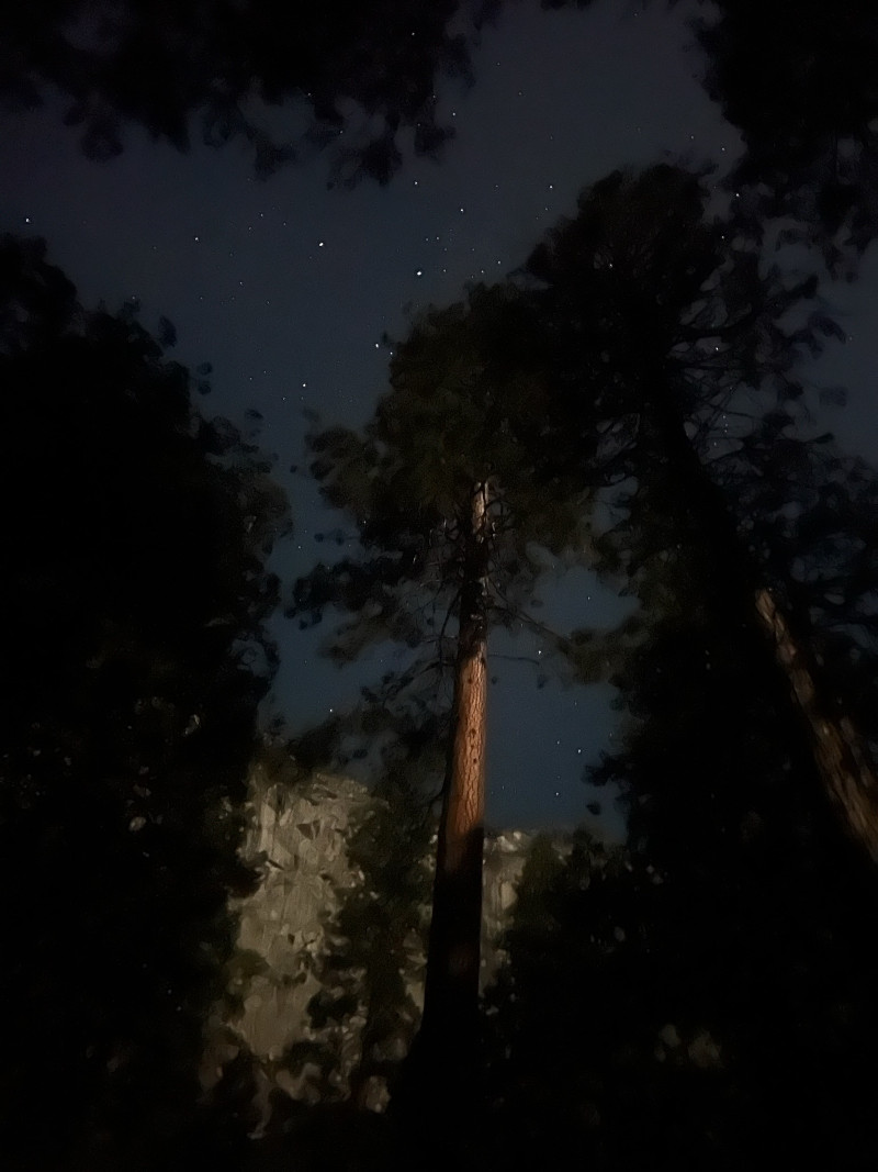 Yosemite Night