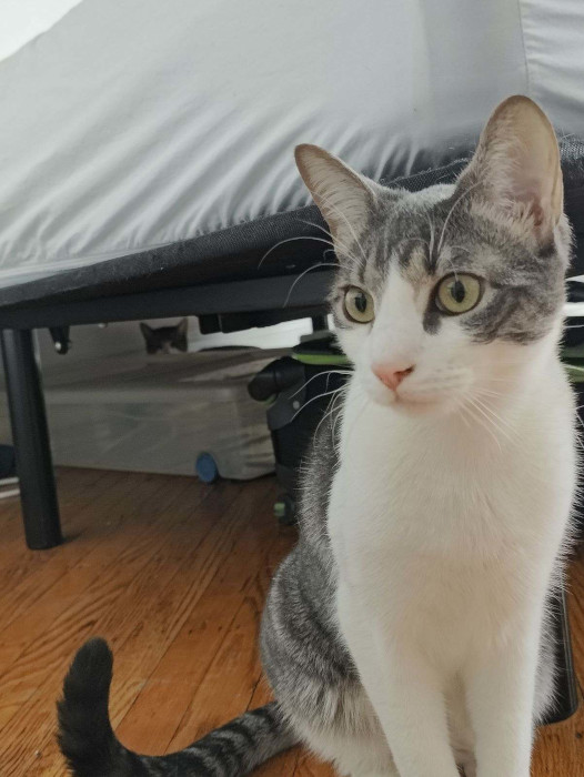 Garbanzo 05-Apr-2024