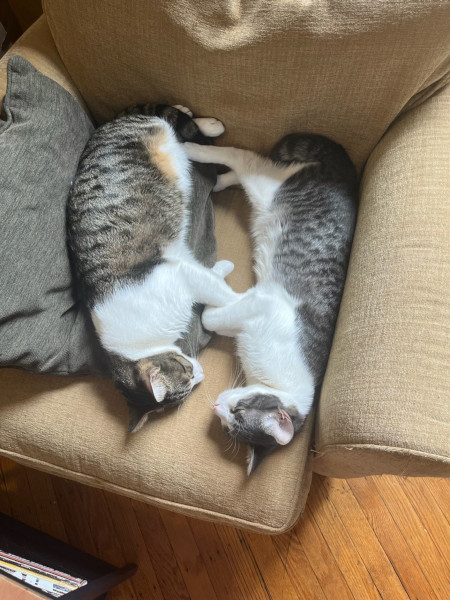 Biscuit and Garbanzo 21-Apr-2024