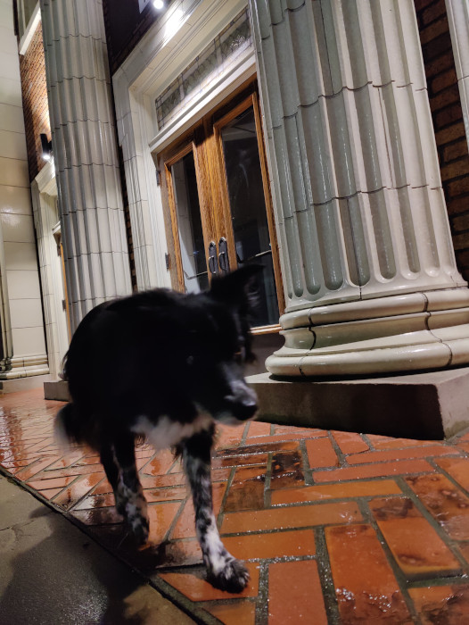Smudge 02 11-Feb-2024