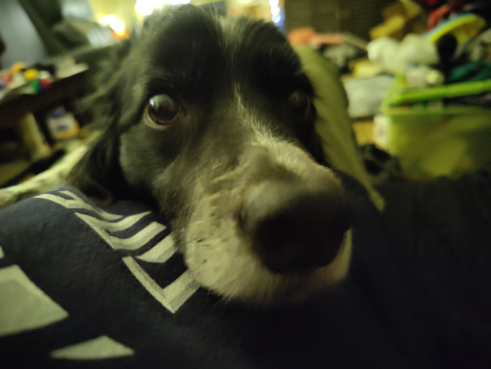 Smudge 03 11-Feb-2024