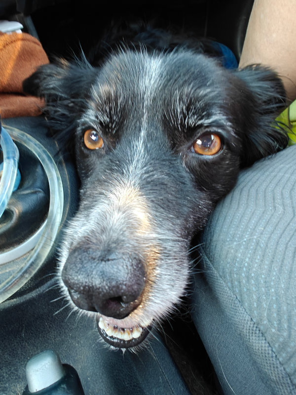 Smudge 18-Mar-2024