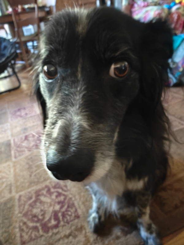 Smudge 31-Mar-2024