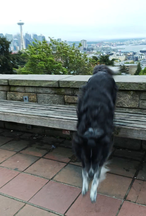 Smudge 05-May-2024