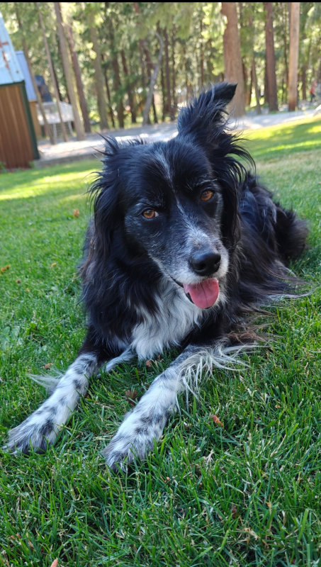Smudge Leavenworth 30-Jun-2024