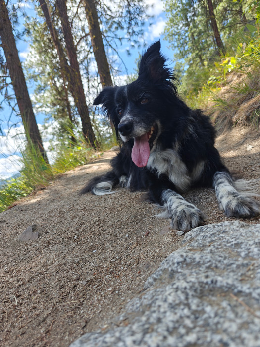 Smudge Icicle Ridge Hike 01-Jul-2024