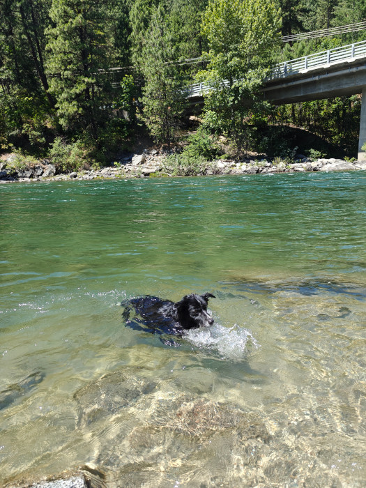 Smudge Wenatchee River 01-Jul-2024 01