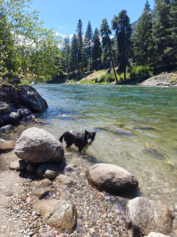 Smudge Wenatchee River 01-Jul-2024 02