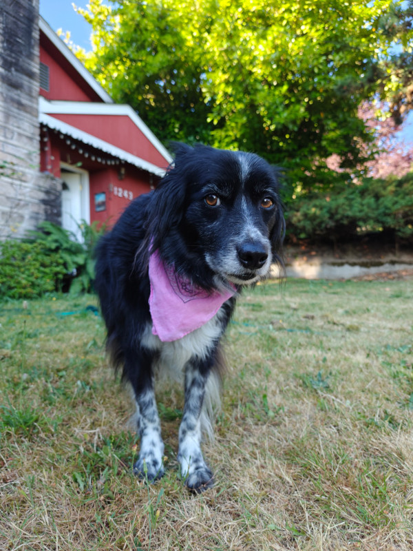 Smudge 01 26-Jul-2024
