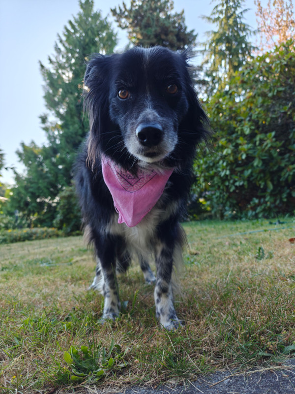 Smudge 02 26-Jul-2024
