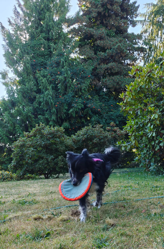 Smudge 03 26-Jul-2024