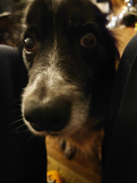 Smudge 21-Sep-2024