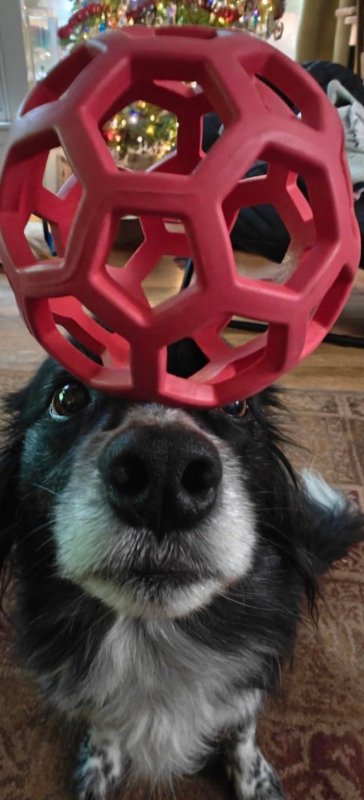 Smudge Red Ball 29-Dec-2024