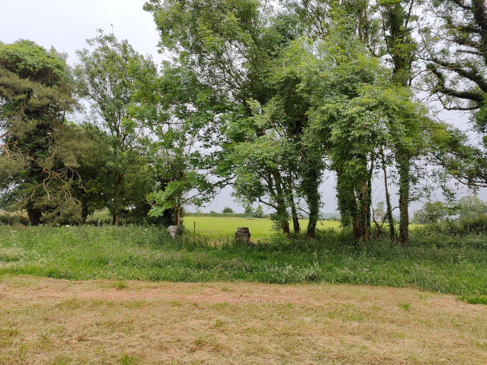 Eire Melia 63928 22Jun24