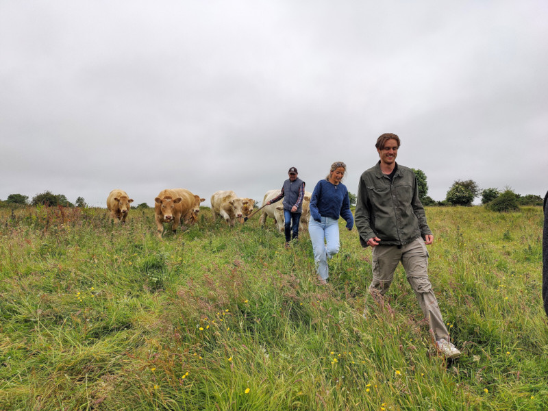 Eire Melia 65158 22Jun24