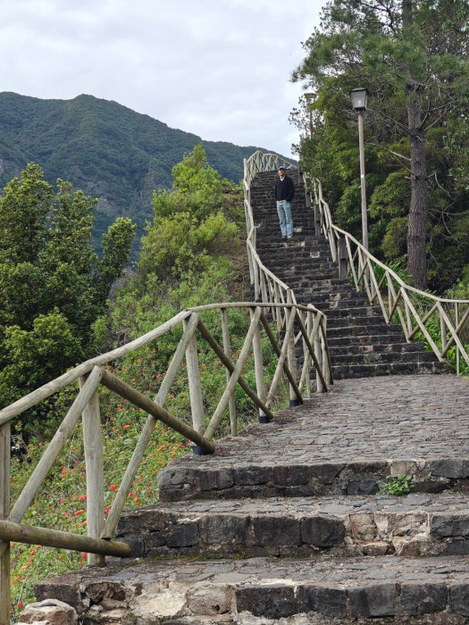 Madeira Capela 153328