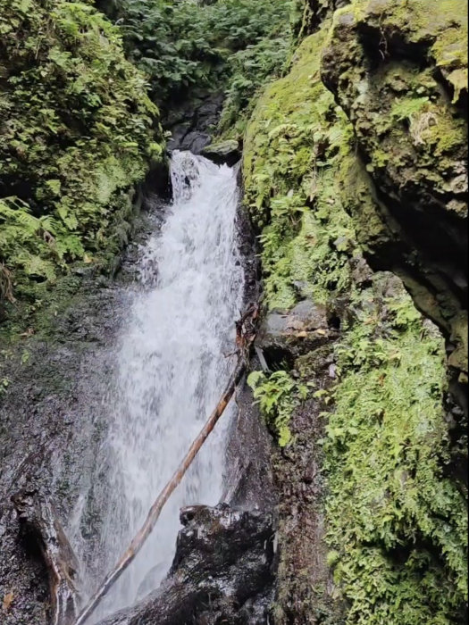 Madeira Levadas Waterfall