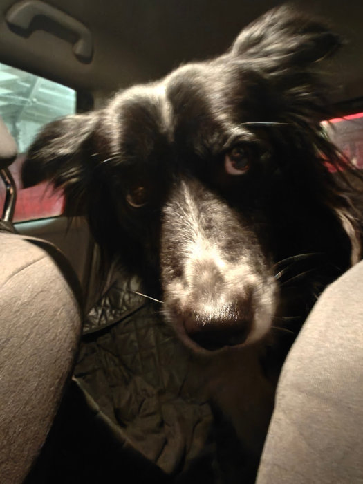 Smudge 21-Jan-2025