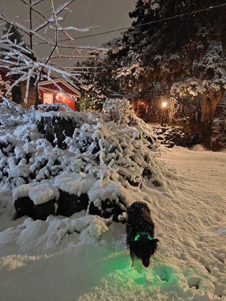 Smudge Snow