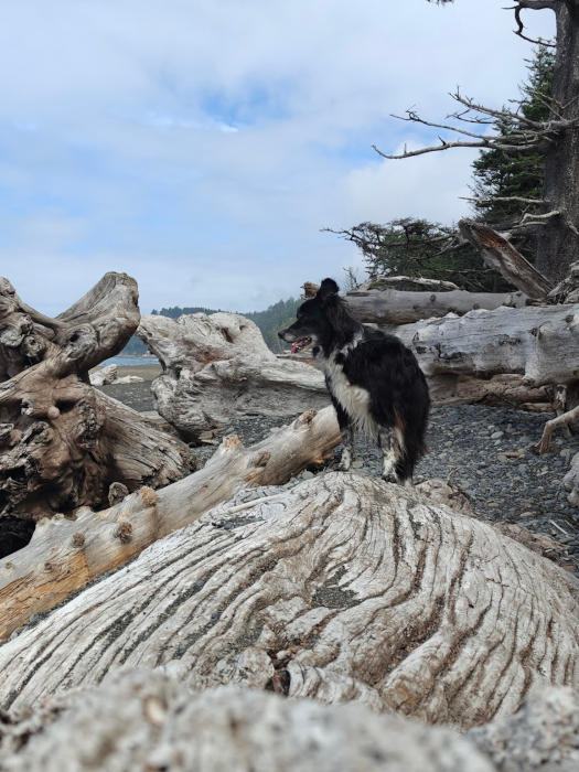 Rialto Beach Smudge 02