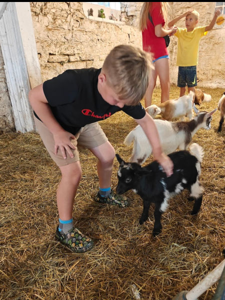 Mt Horeb Farm Jaxson 01