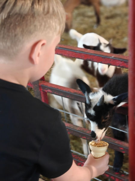 Mt Horeb Farm Jaxson 02