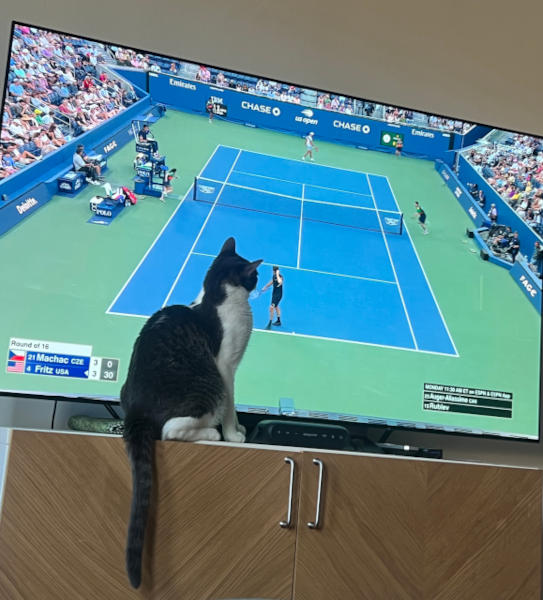 NYC US Open Garbanzo